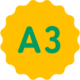A3