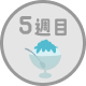 5週目 8/4（火）～