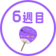 6週目 8/11（火）～