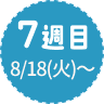 7週目 8/18（火）～