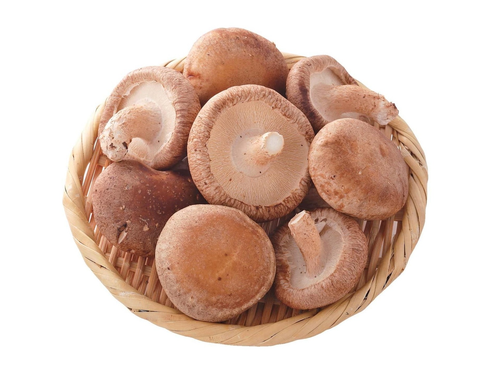 しいたけページ square_八色しいたけ1.jpeg