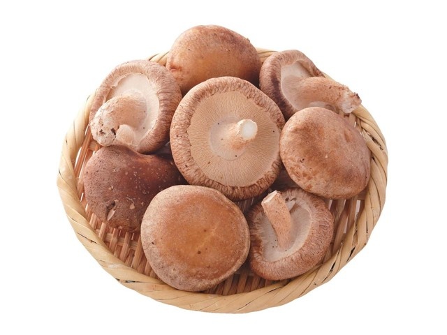 しいたけページ 岐阜県大垣市のしいたけ | ベジファームおおがき