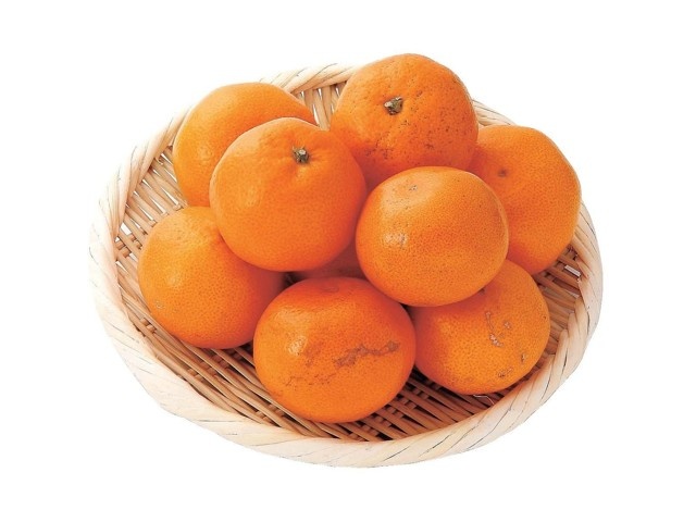 みかんです。 静岡とぴあの青島みかん（スレキズ有） 800g（6～13コ入・S～2L