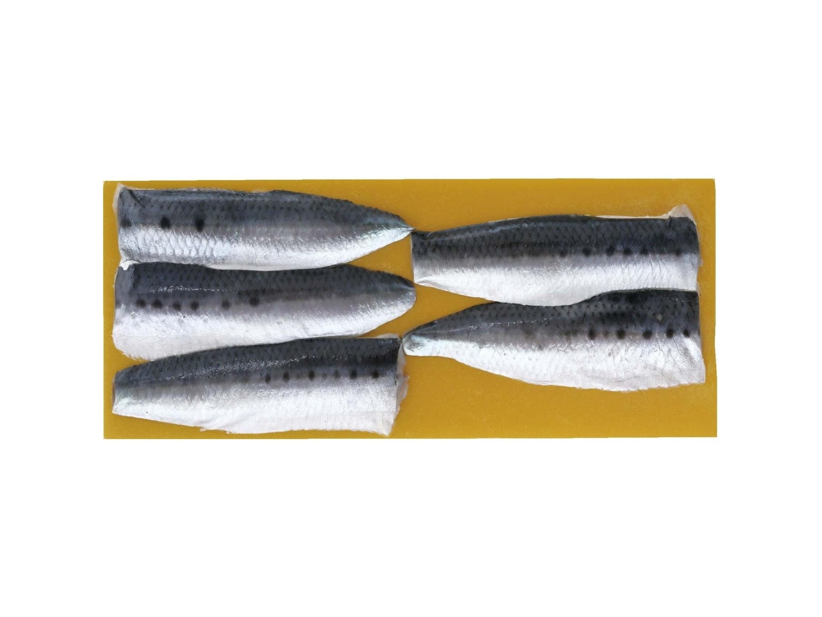 いわし パラドックス でらいわし 150g : アングラーズショップ