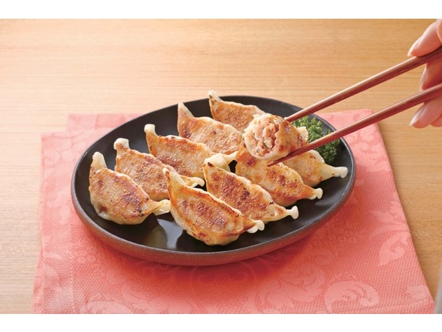 ツジグチコーポレーション 大阪ふくちぁんサーモン餃子 648g