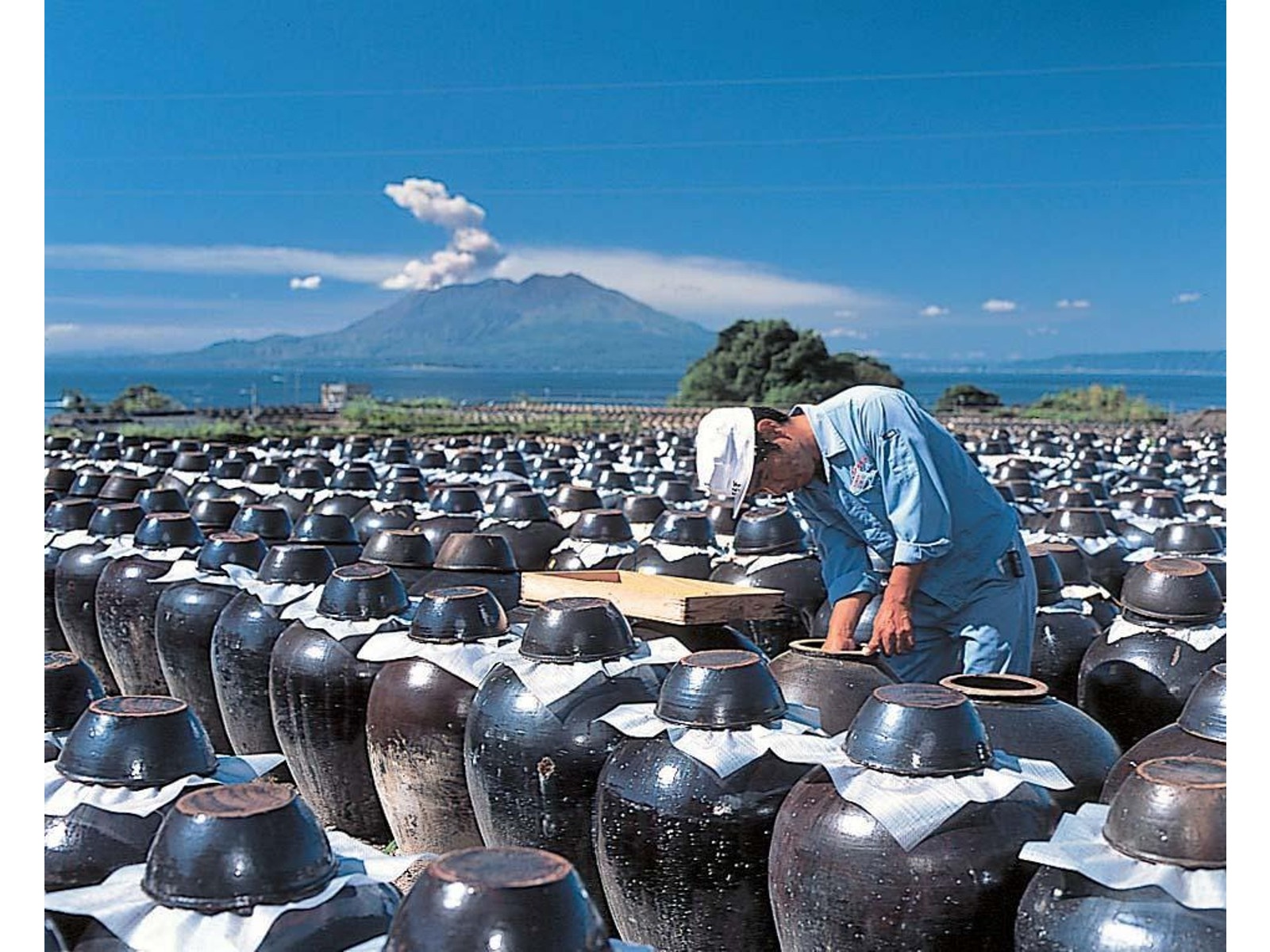 【Homan & Co】葡萄のクラムクリーナーセット アールヌーボー 野球 ジームス 限定 三方親 軟式グローブ グラブ 軟式用 直刺繍