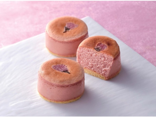 お菓子の木ふじき 桜の半熟チーズケーキ 1箱（5コ入）| コープ