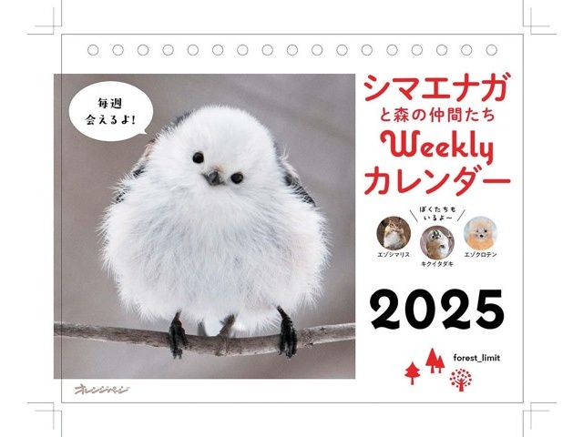 a♡ページ プラットチャンキースニーカー（スニーカー）｜PAGEBOY（ページ