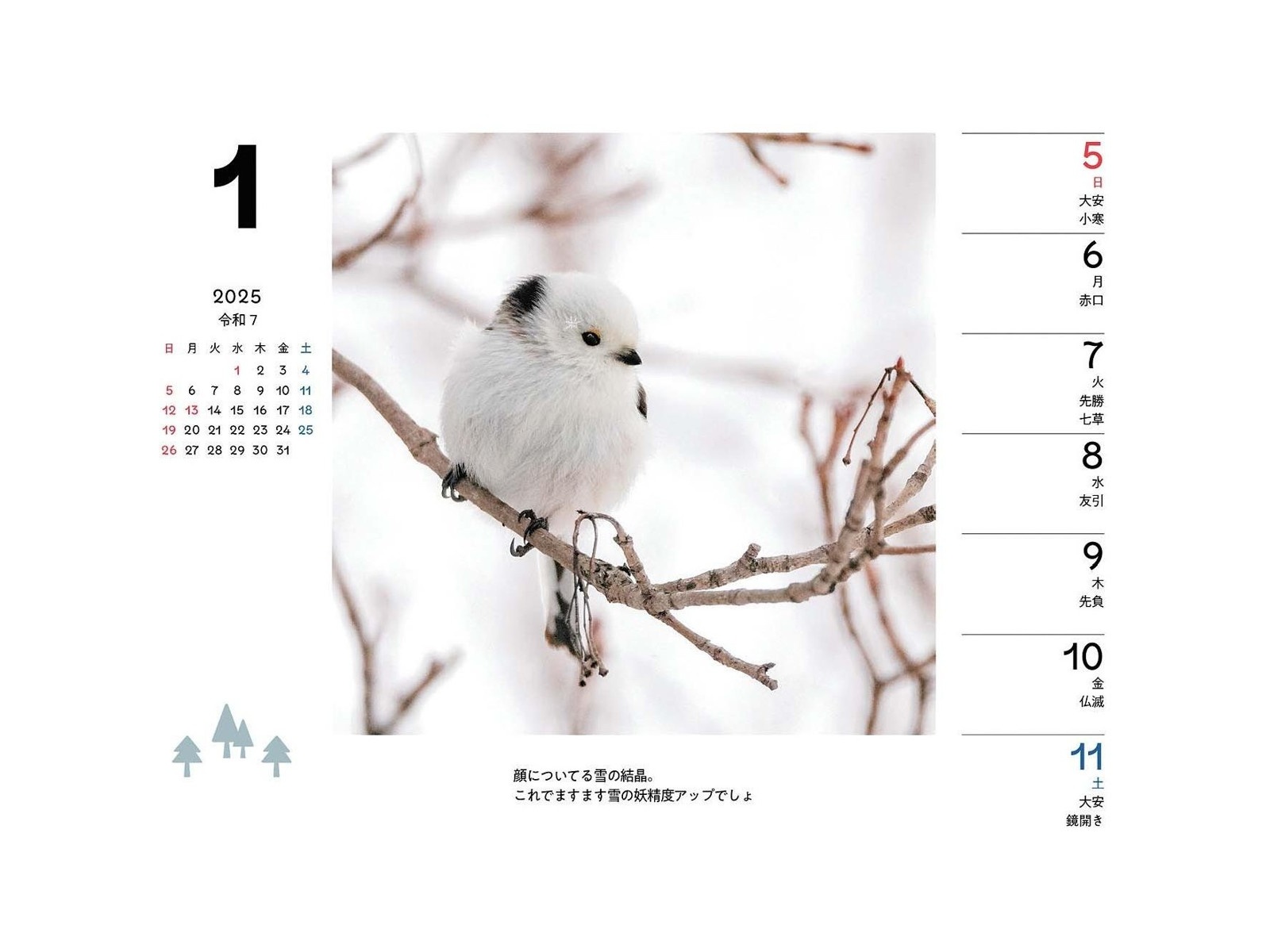 本能寺カレン　シノビ関連　4コン　76枚セット 本能寺カレン シノビ関連 4コン 76枚セット