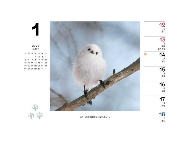 オレンジページ 卓上シマエナガと森の仲間たちWeeklyカレンダー 1部