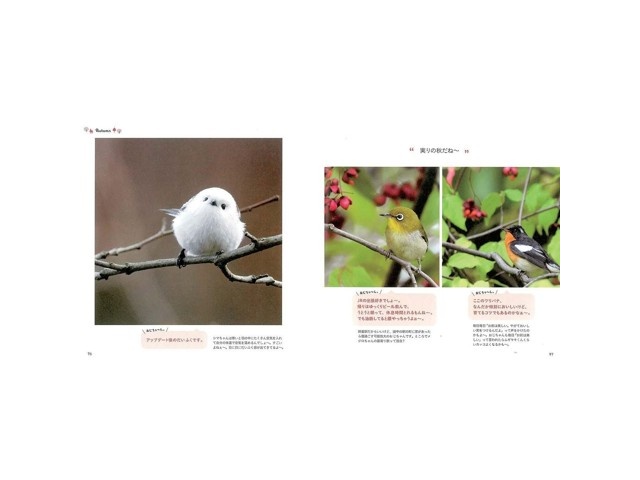 オレンジページ シマエナガと交換日記 1冊| コープこうべネット