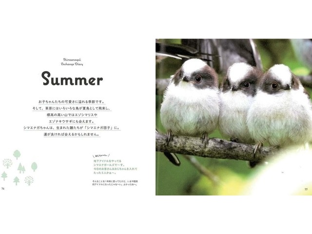 オレンジページ シマエナガと交換日記 1冊| コープこうべネット