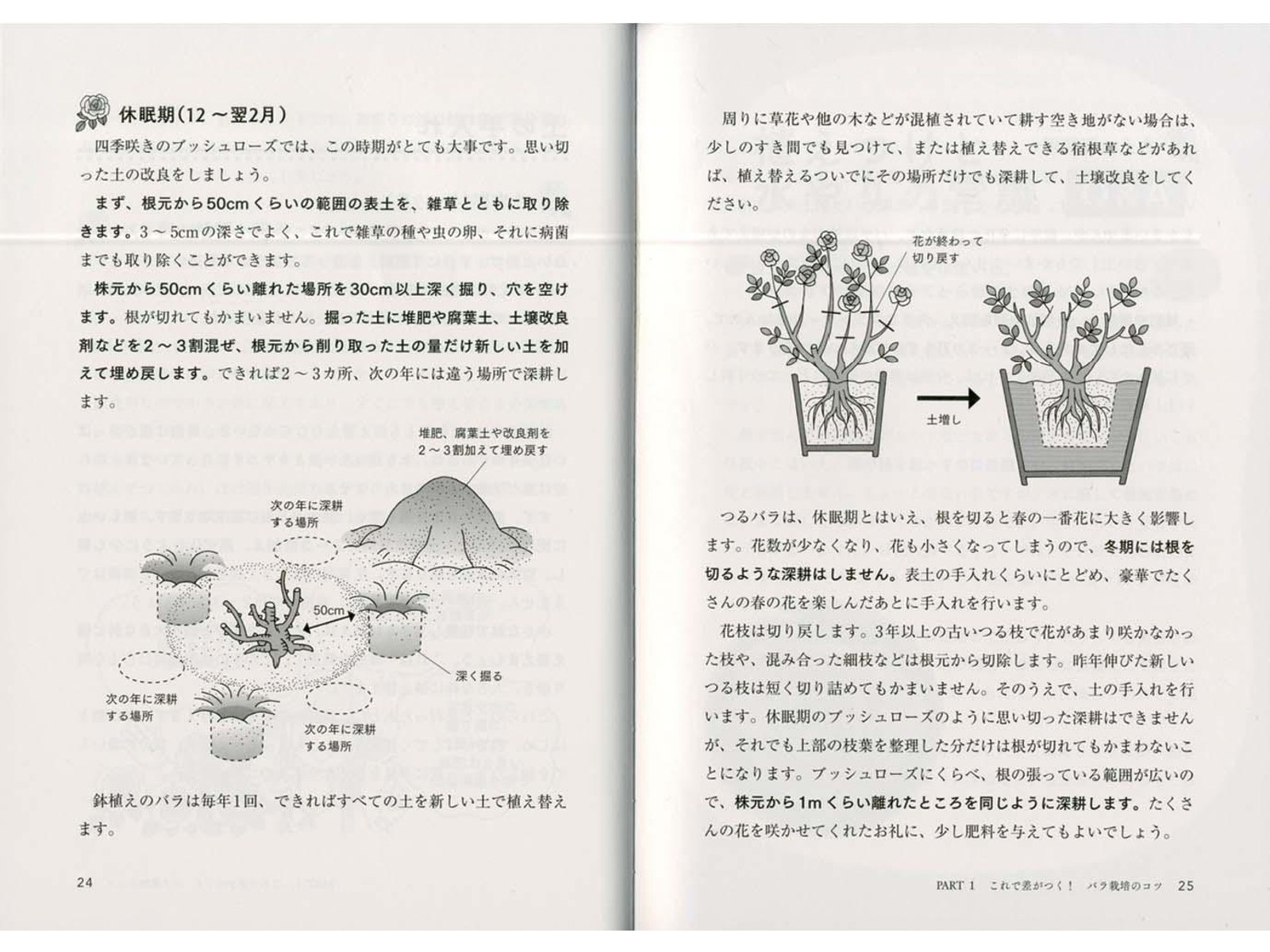 PHP研究所 美しさに差が出る！「一枚上手」のバラの咲かせ方 1冊