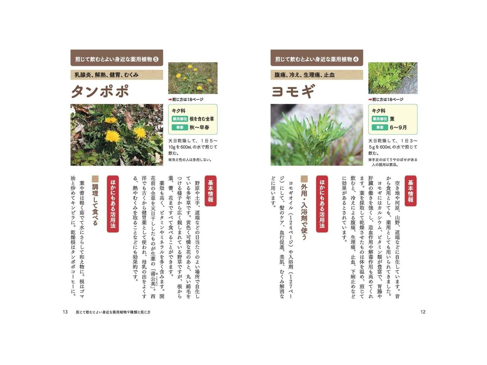 家庭で使える薬用植物大事典 | 田中 孝治, 神蔵 嘉高 |本 | 通販