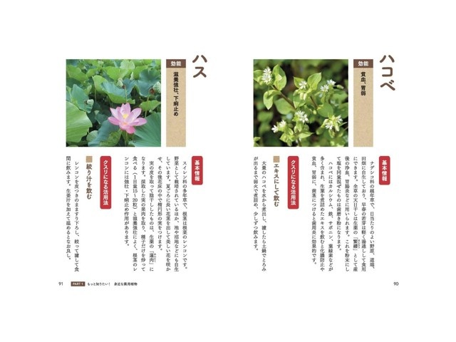 PHP研究所 自然治癒力を高める 家庭でできる 身近な「薬用