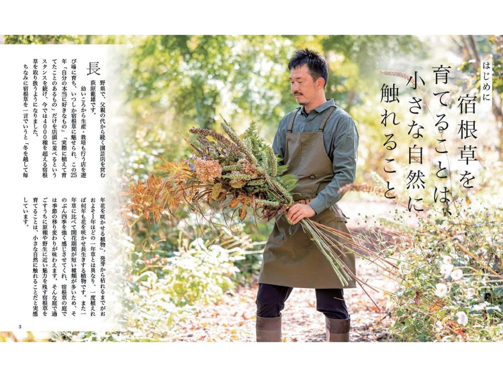 NHK出版 宿根草のナチュラルガーデン 1冊 | コープこうべネット
