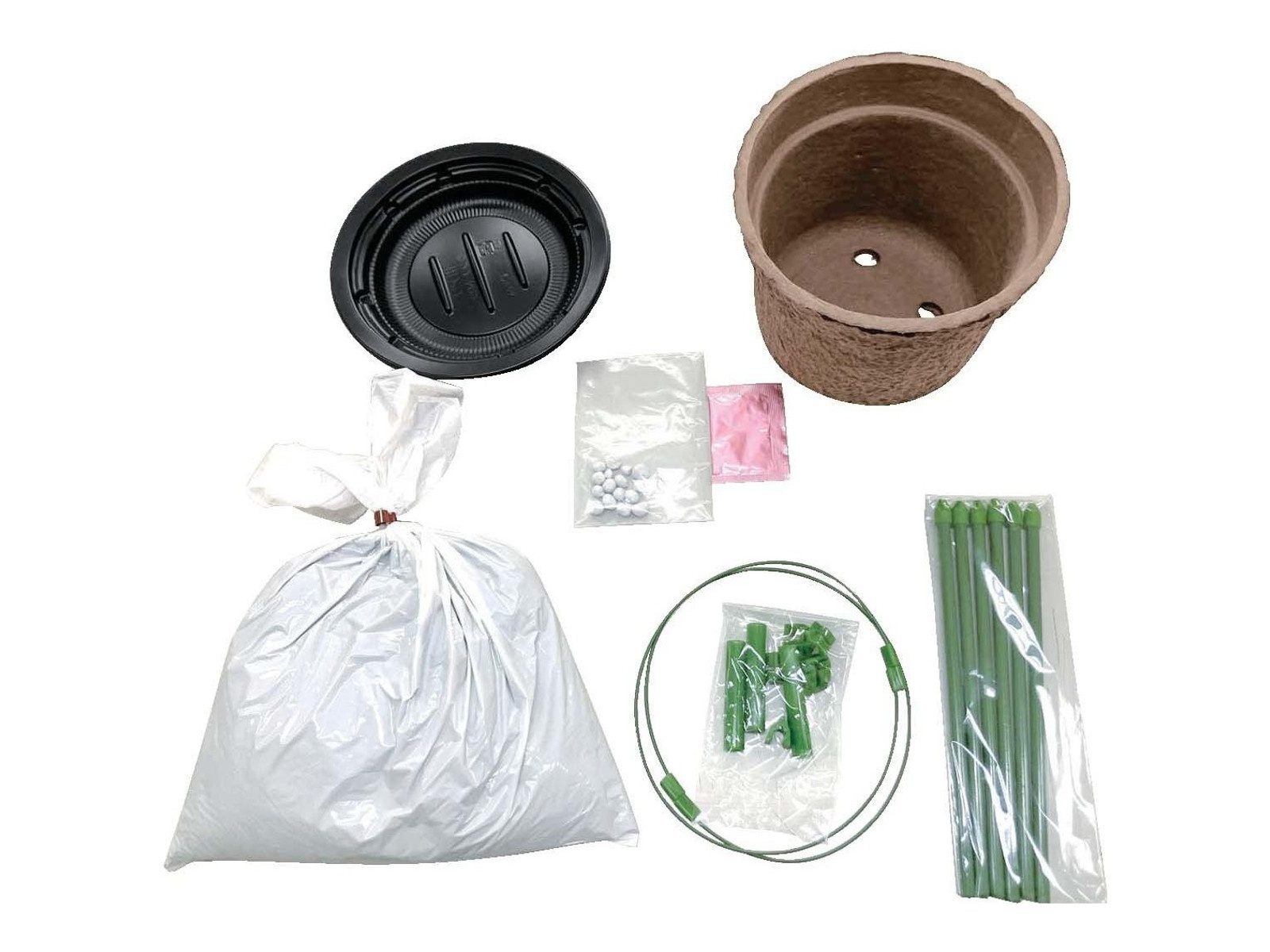 アタリヤ農園 大輪咲き朝顔 支柱付き栽培セット おまかせ 1