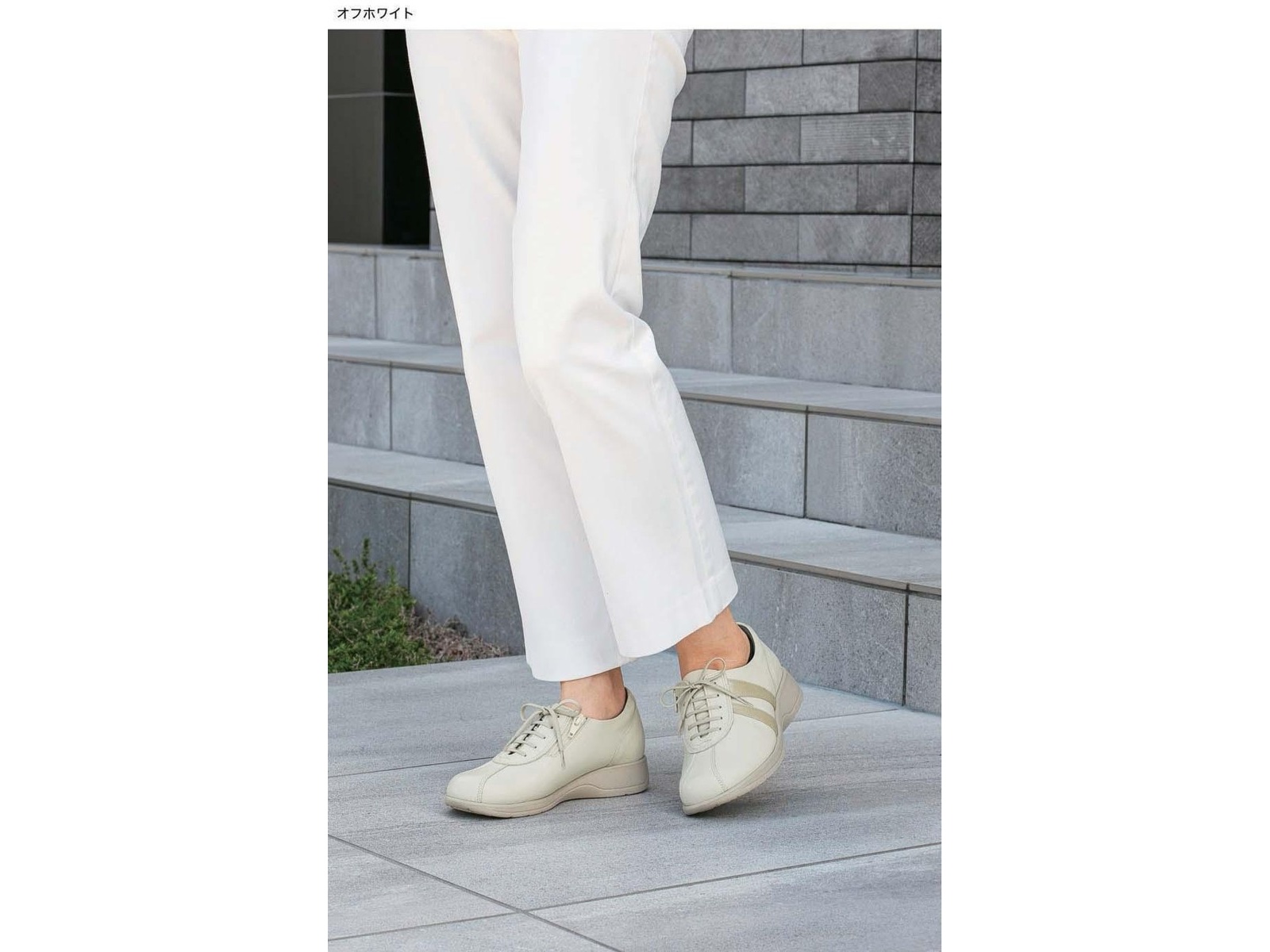 高井さんの靴＞5E牛革軽量コンフォートシューズ 1足 オフ