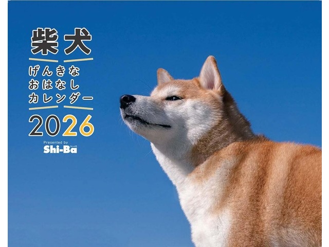 みっこ★様❣️オーダーページ＊花ヘリコプターに乗る柴犬パネル2枚 楽天市場】【当店限定】ギフトに♪ぬいぐるみとトートバッグの