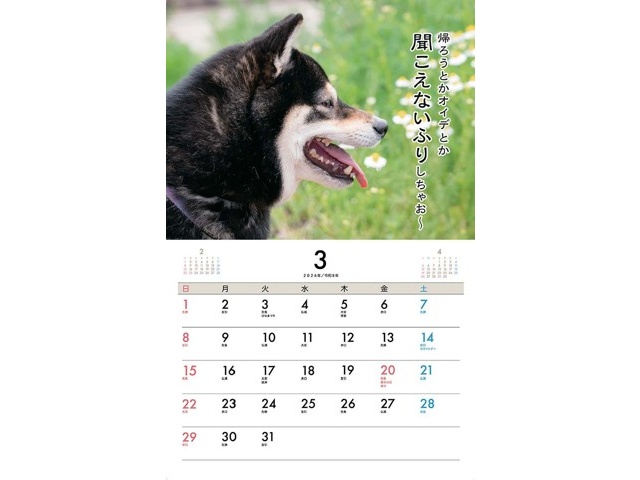 辰巳出版 柴犬げんきなおはなしカレンダー 1部| コープこうべネット