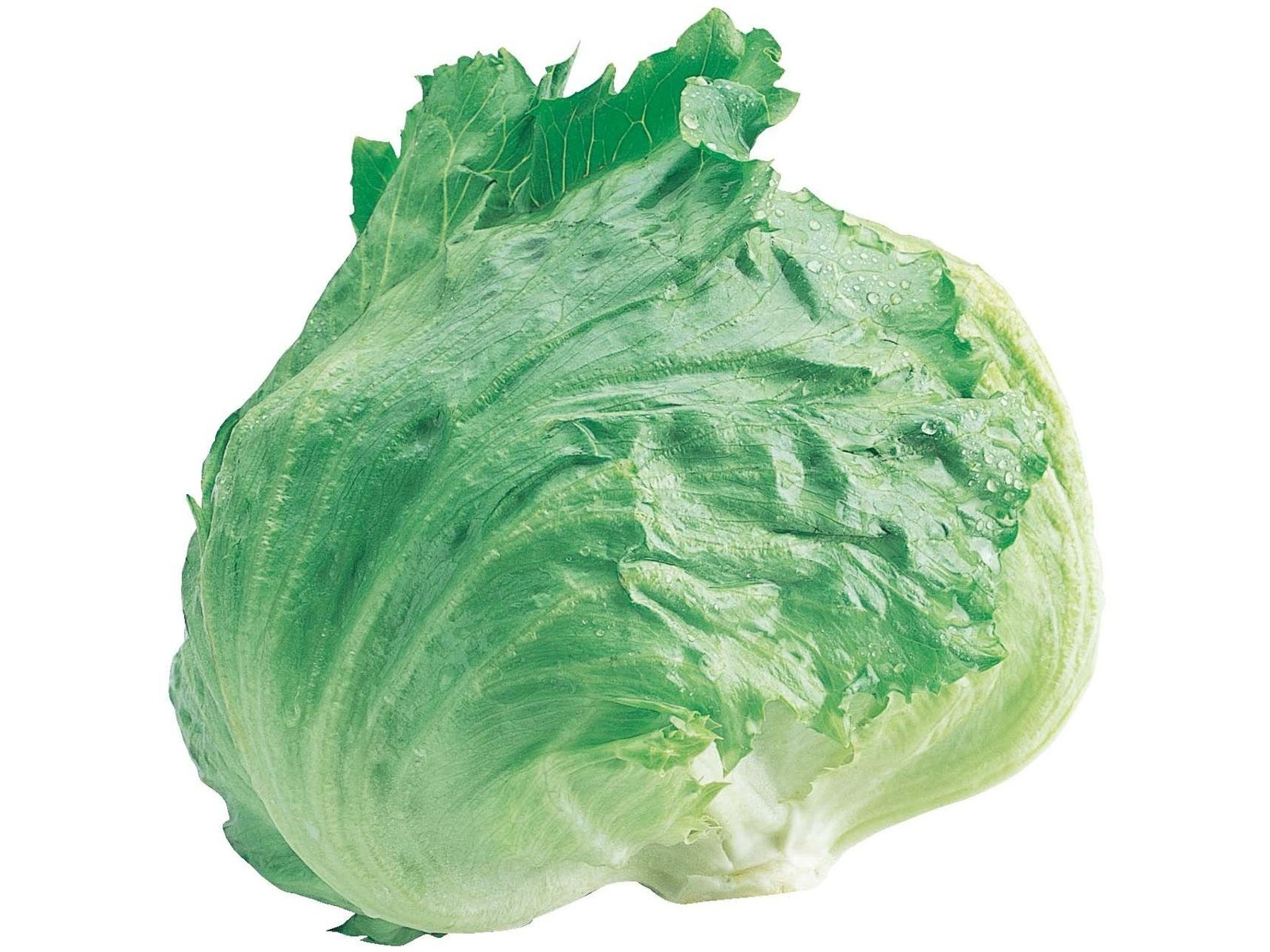 ★レタス あずき Latte adidas ZX 8000 “Strawberry Latte” Lands January