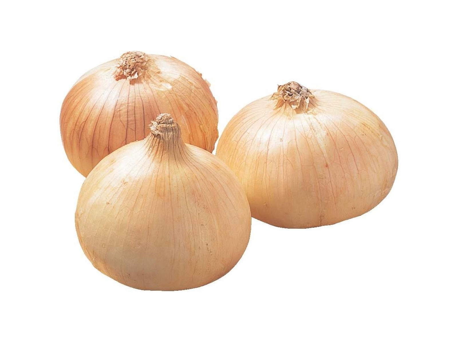 たのめーる】ブルーチップ 乾燥野菜アラカルト 刻み玉ねぎ 70g 1