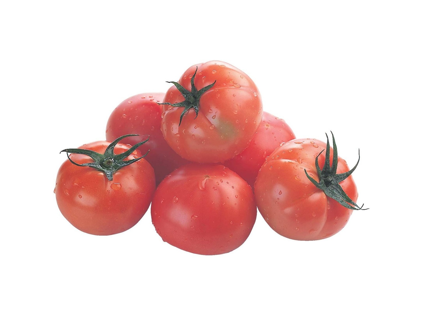 大雲仙トマト 徳用600g＋100g（3～9コ入・小玉～大玉混合