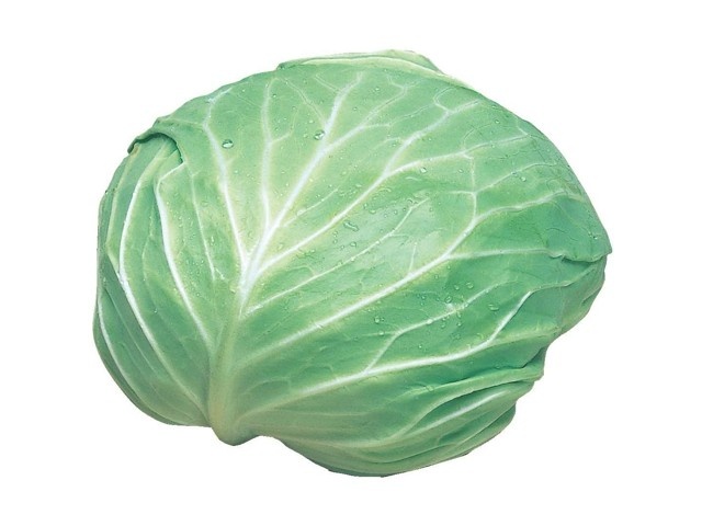 きゃべつ 1玉| コープこうべネット