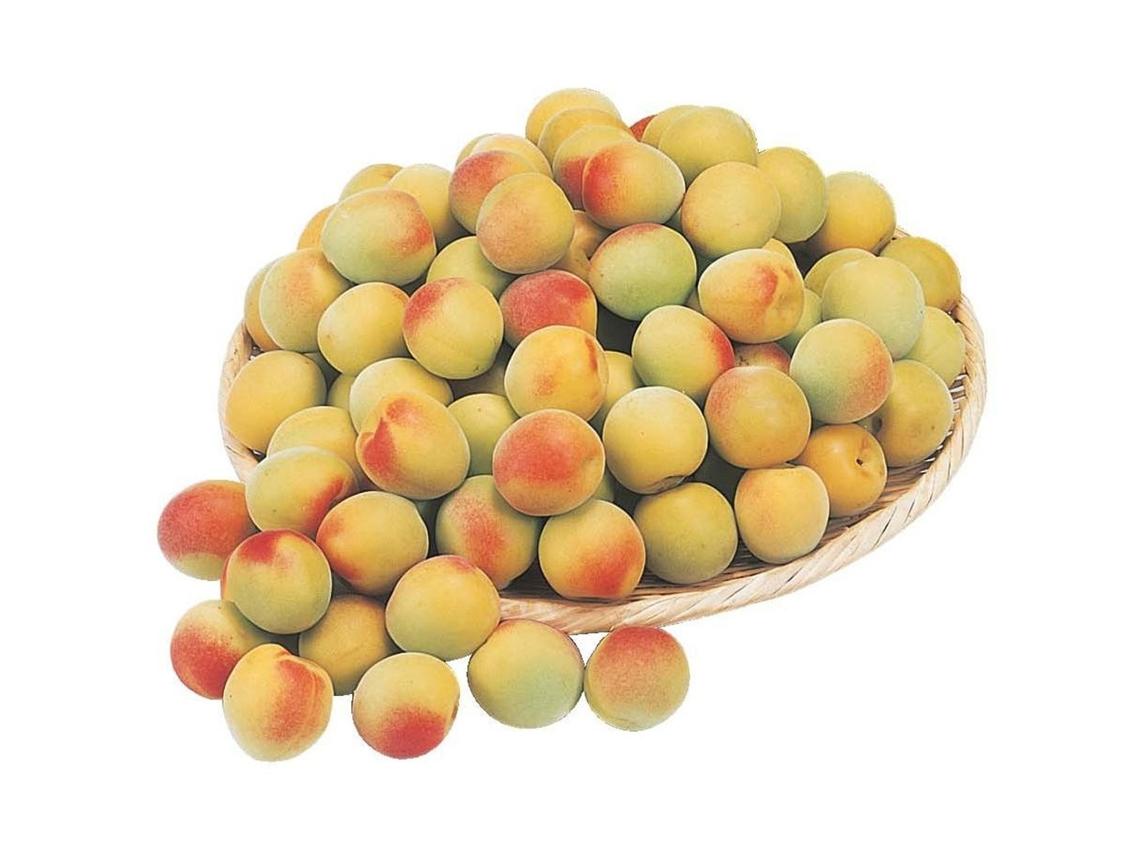 コボちゃん　9キロ　南高梅　梅　梅干し用　お任せ コボちゃん 9キロ 南高梅 梅 梅干し用 お任せ コボちゃん 9キロ