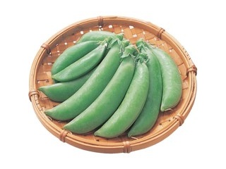 えだまめ 楽天市場】育てる黒えだ豆 栽培セット 栽培キット 種 野菜 枝豆