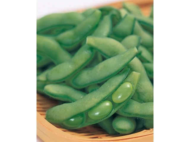 【えだまめさん専用】 えだまめ（たまふくら） 240g| コープこうべネット