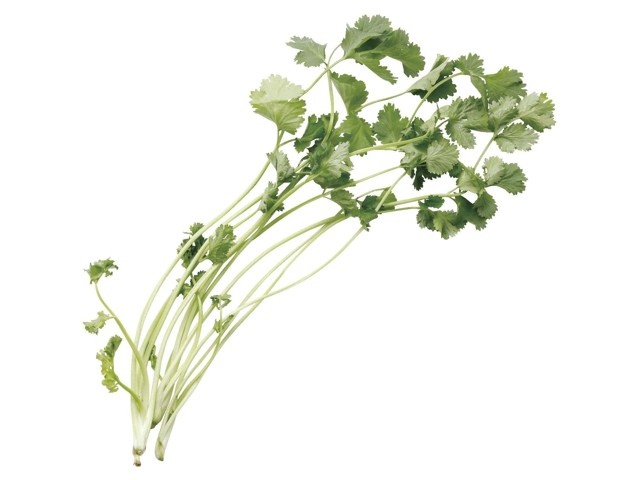 ⭐️パクチー⭐️ パクチー(香菜) 1袋(25g)| コープこうべネット
