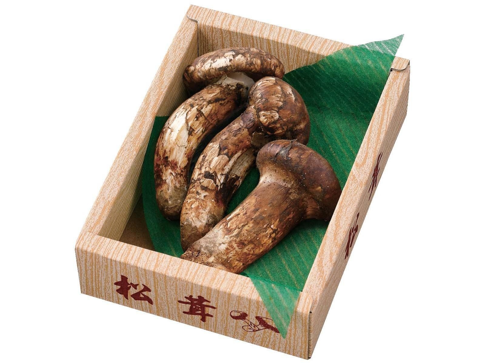 輸入松茸 100g（2～3本入）| コープこうべネット 