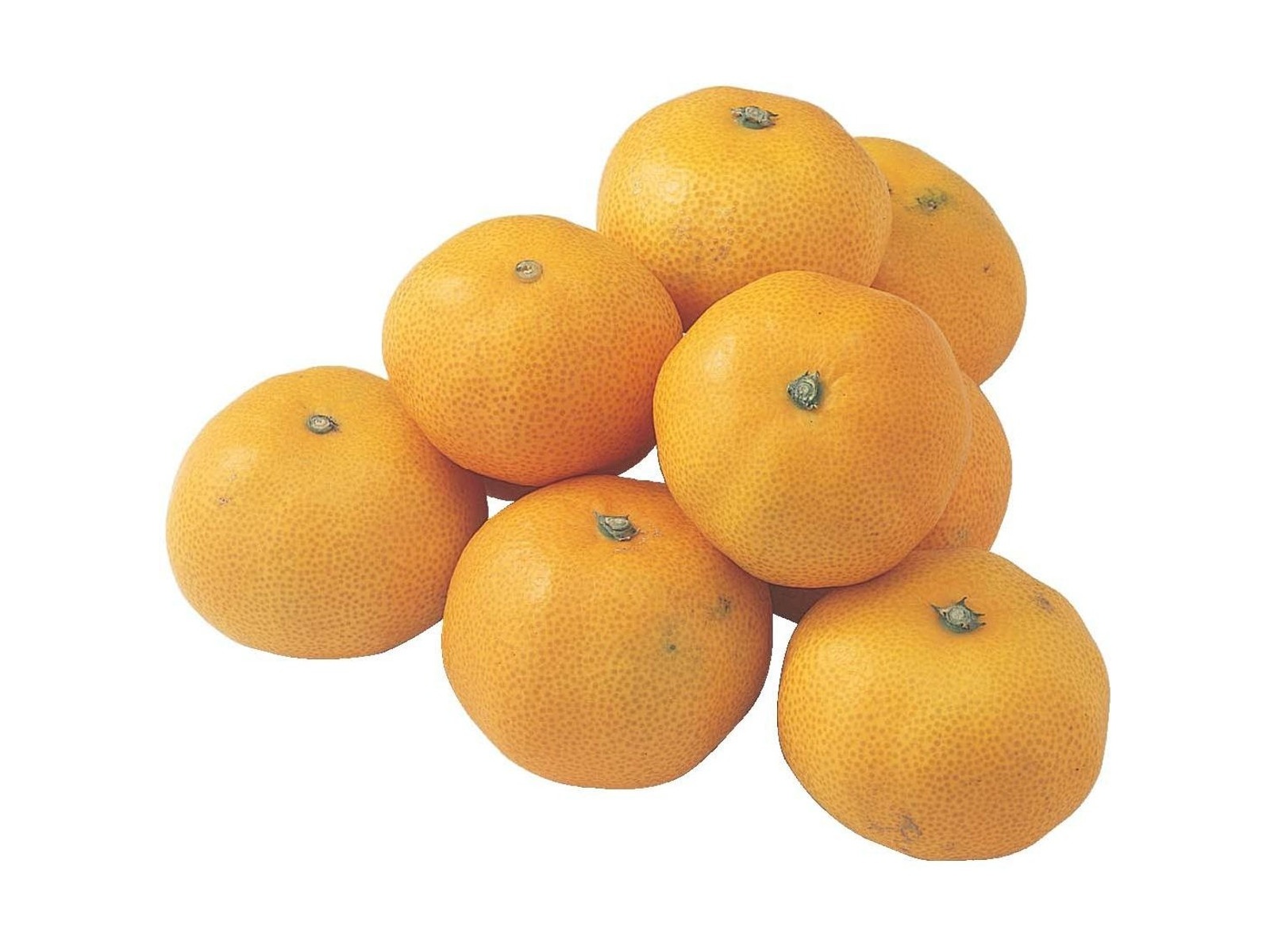 味もっこすみかん 600g＋100g（6～12コ入・2S～L混合）| コープこうべ