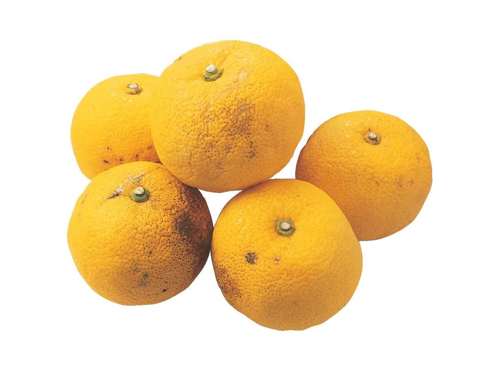 ゆず徳用 ゆず徳用（スレキズ有） 250g（2～7コ入・小玉～大玉混合） | コープ