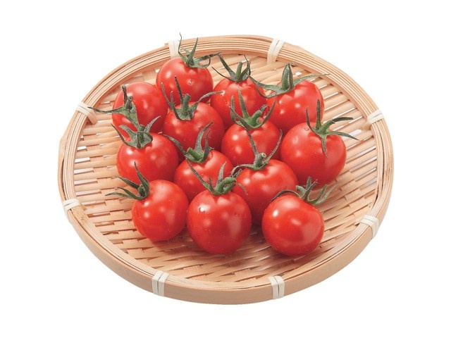 トマトウマ トリックスター / Ninja ZX-4R SE/4RR（24-26）政府認証ダウン