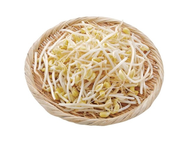 豆もやし様