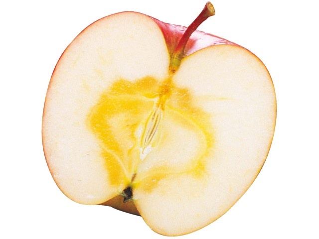 早生ふじりんご（スレキズ・ツル割） 950g（3～6コ入・小玉