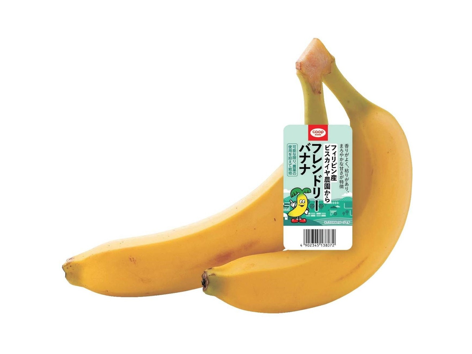 バナナと葡萄 サンウォッチ ぶどう M 2号缶（850g） | Gourmand Club