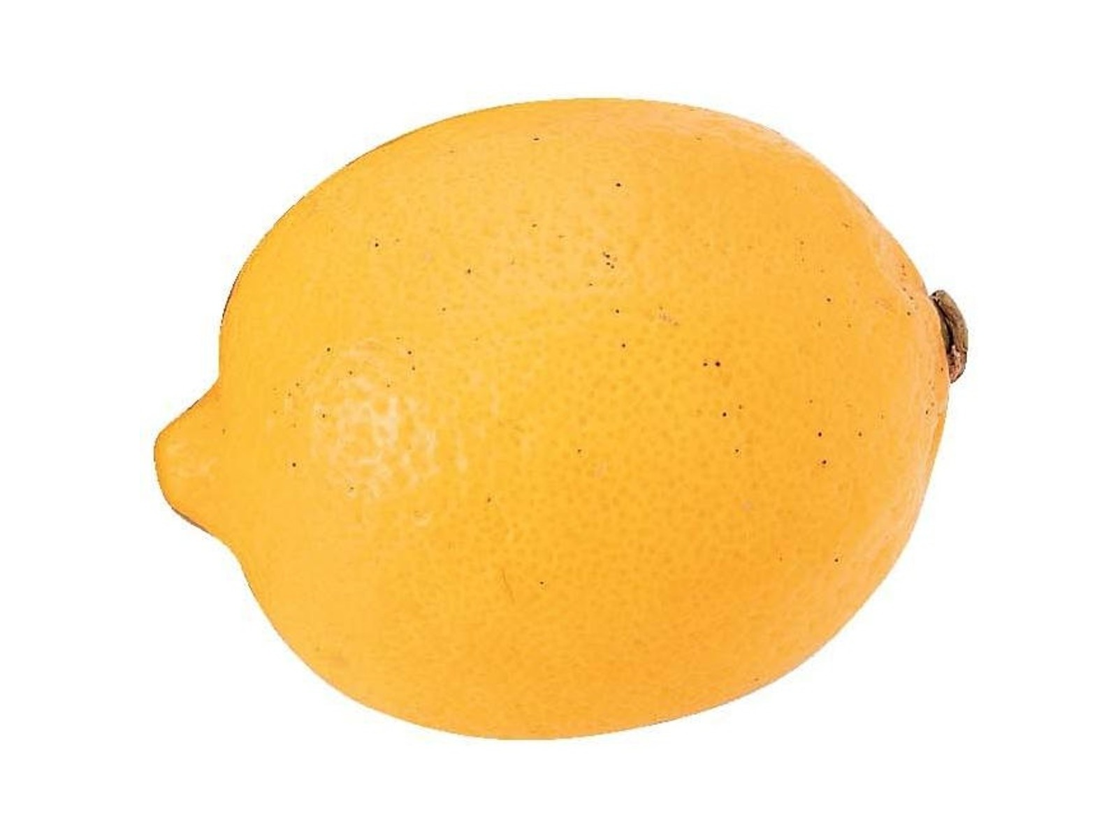 生コブミカン葉1kg、＋レモングラスオマケ。オーダーページ 生コブミカン葉1kg、＋レモングラスオマケ。オーダーページ からつの