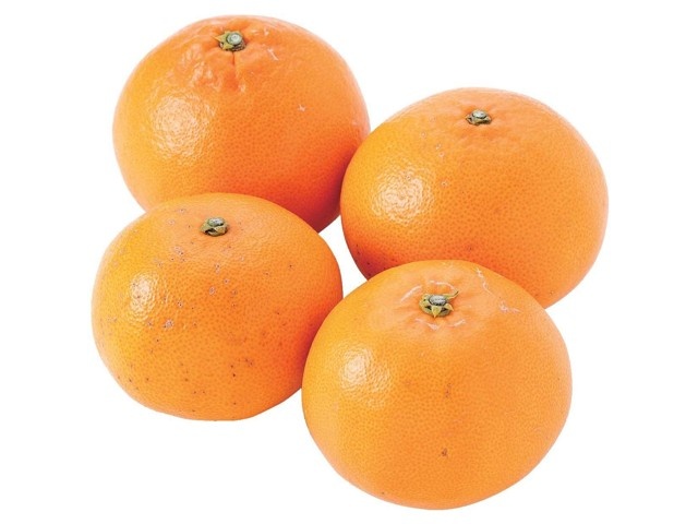 せとか スレキズ徳用600g（3～7コ入・M～3L混合）| コープこうべネット