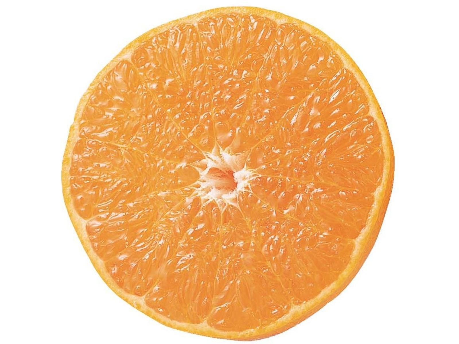 せとか スレキズ徳用600g（3～7コ入・M～3L混合）| コープこうべネット