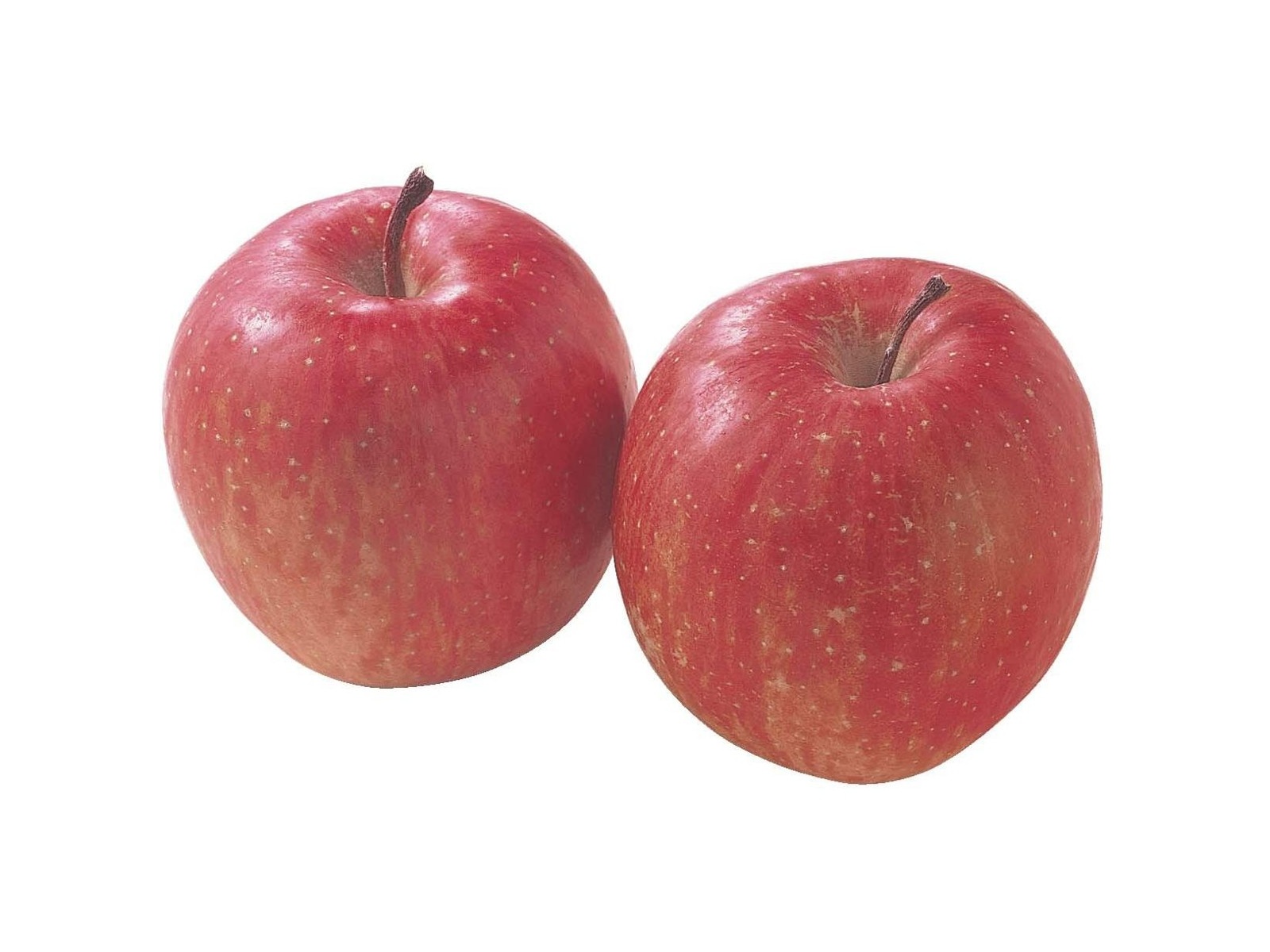 りんごページ 4枚 早生ふじりんご 550g（2コ入・特大）| コープこうべネット