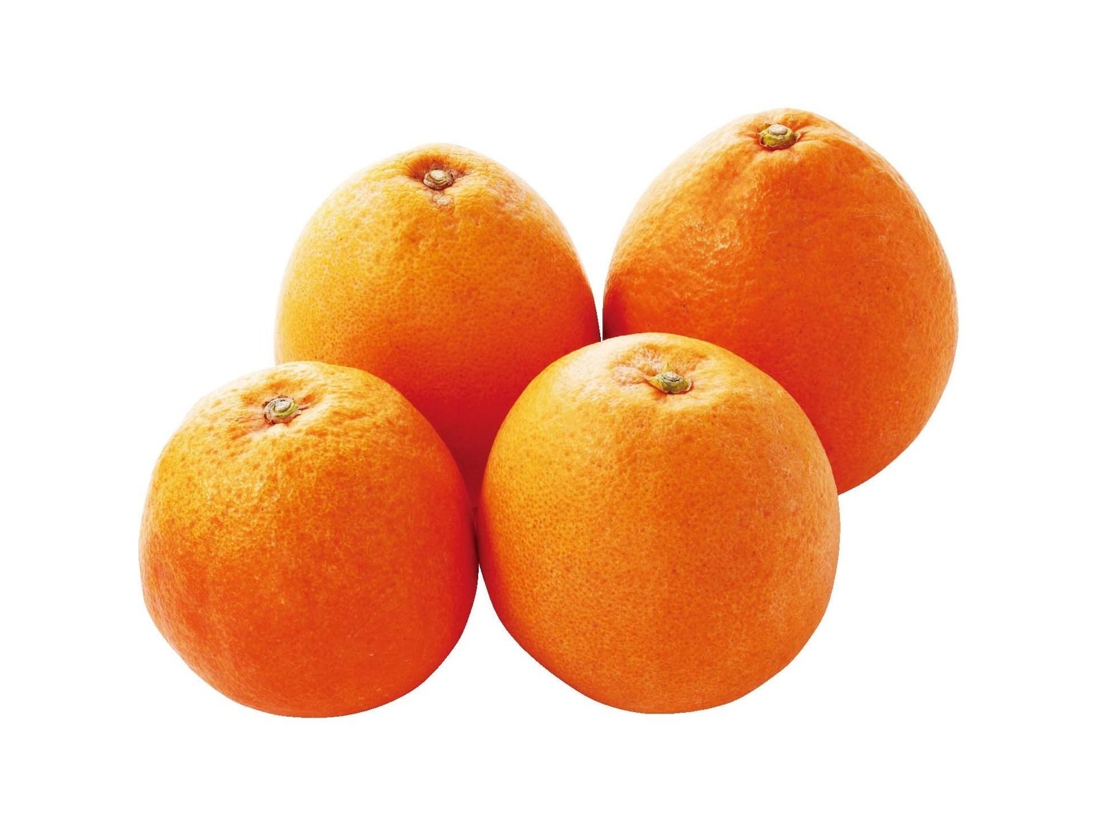 ブラッドオレンジ 500g（3～6コ入・S～2L混合）| コープこうべネット