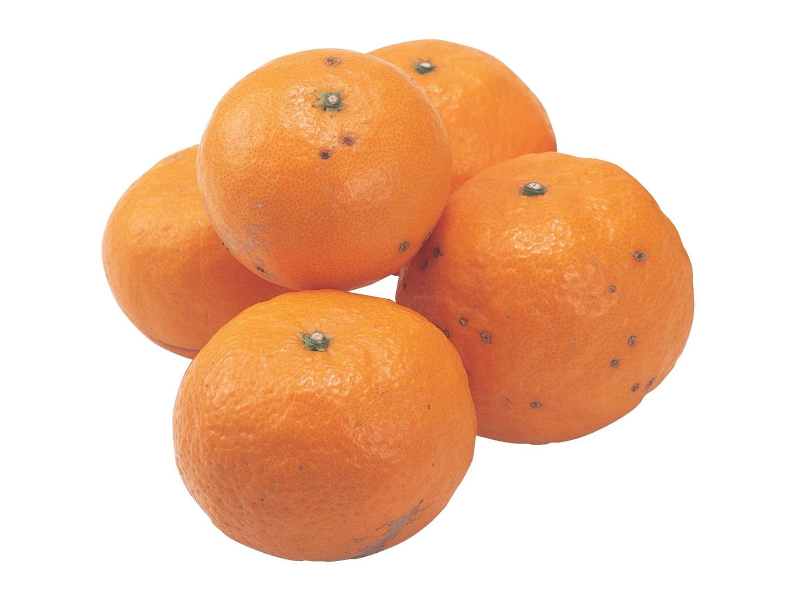 カラマンダリン（スレキズ有） 500g（3～7コ入・S～3L混合） | コープ