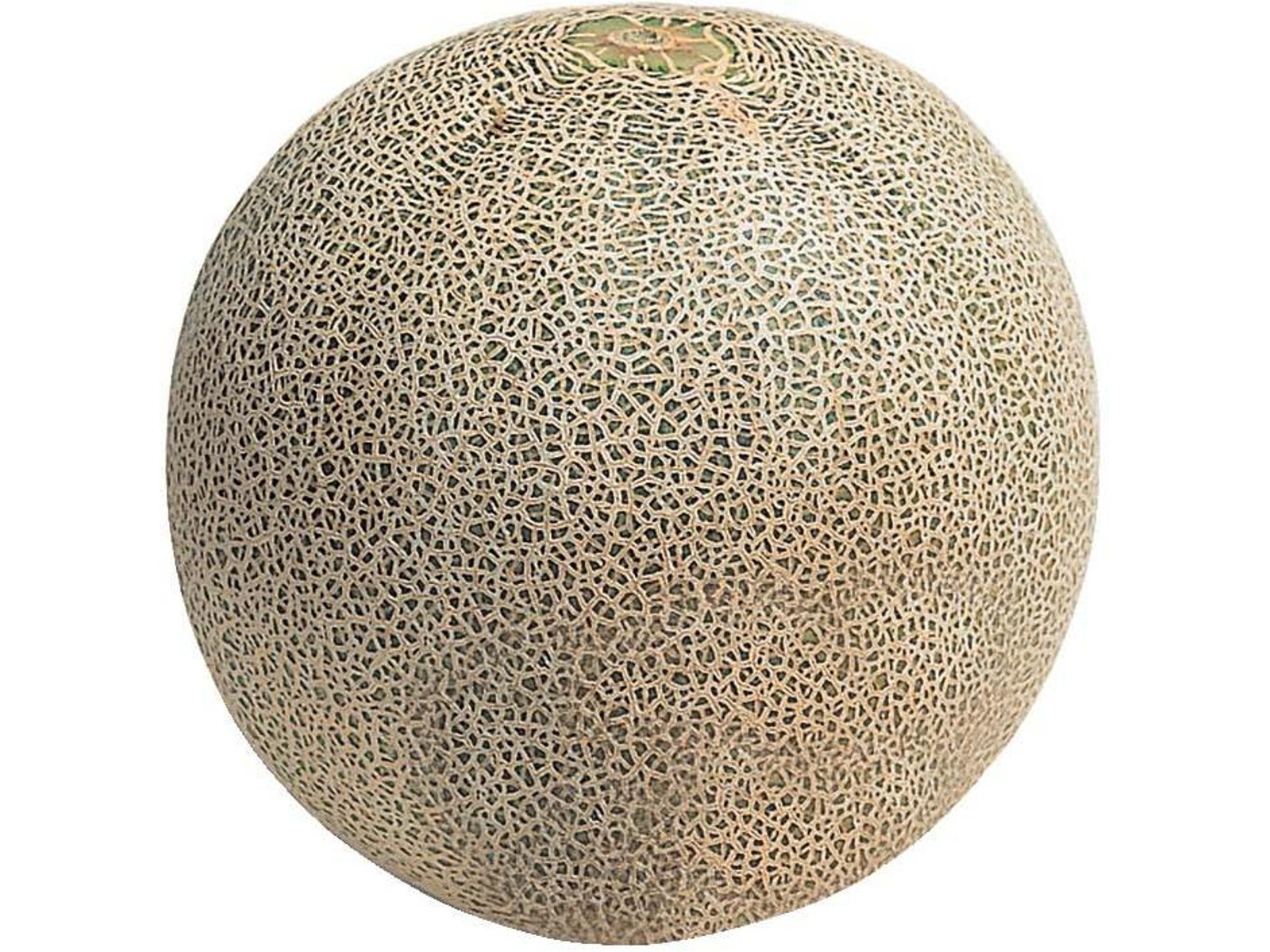 クインシーメロン（高糖度） 1玉（900g・大玉）| コープこうべネット