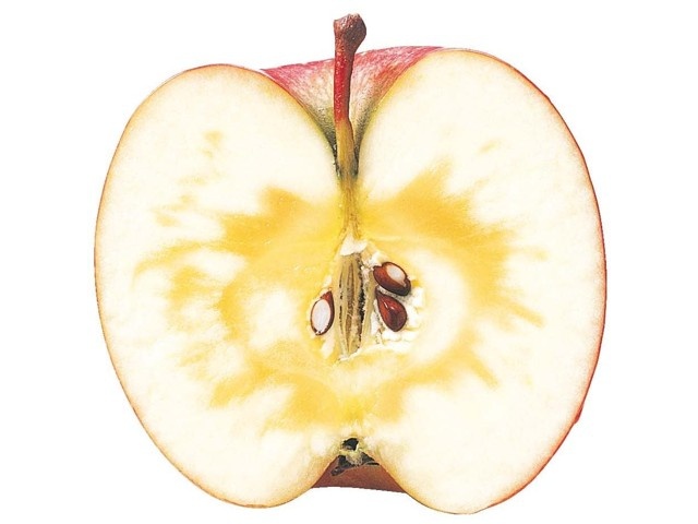 早生ふじりんご（スレキズ・ツル割） 650g（2～3コ入・小玉