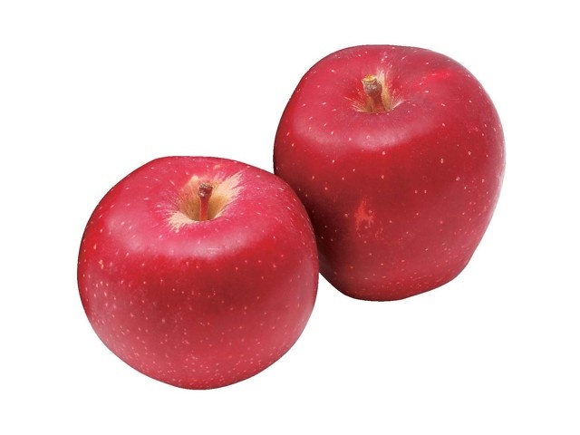 おいらせりんご 600g（2コ入・特大）| コープこうべネット