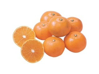 静岡とぴあの青島みかん（スレキズ有） 800g（6～13コ入・S～2L混合