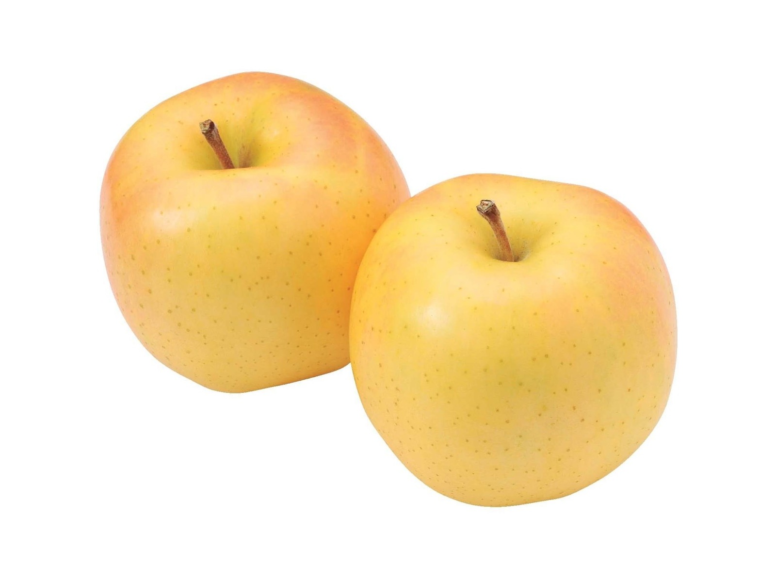 高糖度トキりんご 450g（2コ入・中玉）| コープこうべネット